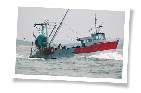 L'histoire de Capitaine Nat'